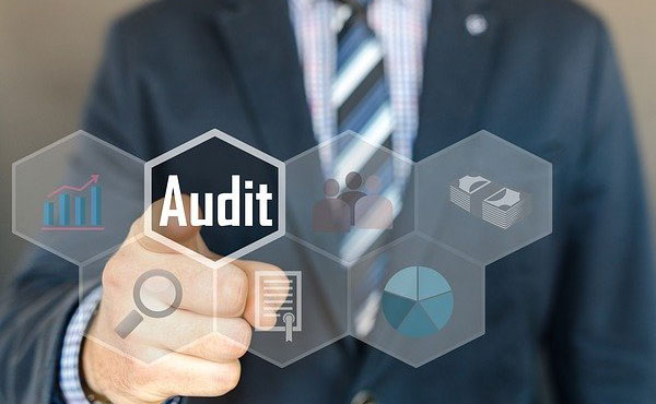 Audit Support